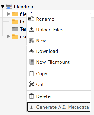 Screenshot of the context menu